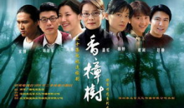 电视剧香樟树演员表,实力派明星齐聚演绎青春岁月