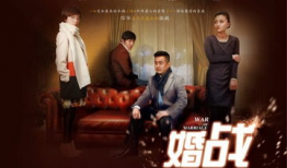 婚战电视剧,爱恨交织的情感较量