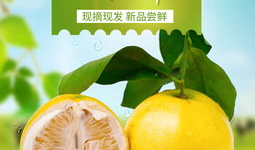 精品51吃瓜台湾反差爆料免费,51吃瓜台反爆料，免费探秘幕后真相